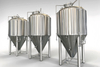 Top Manway fermenter