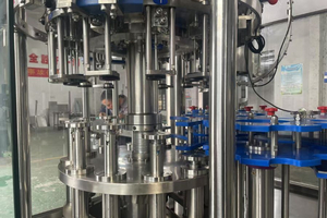 Complete Beer Bottling Lines