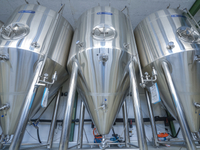 //ijrorwxhqplpll5m.ldycdn.com/cloud/lmBpjKnoljSRklmopkjkkq/cassman-4000L-fermentation-tank-in-Switzerland.jpg