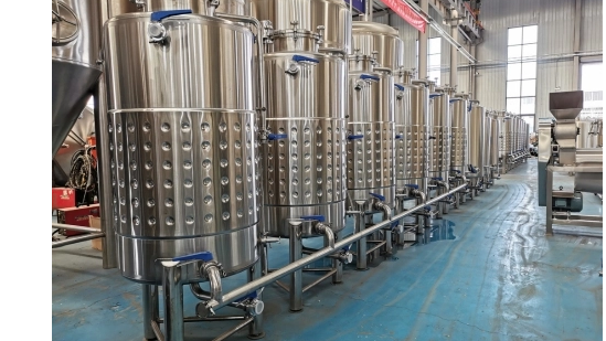 How to Choose the Best Wine Tank: A Complete Buyer's Guide to Key Considerations