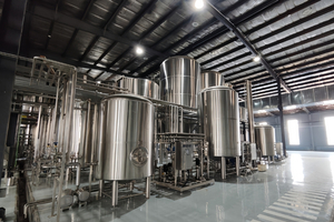 Turnkey 10,000 Ton/Year Industrial Brewery Solution
