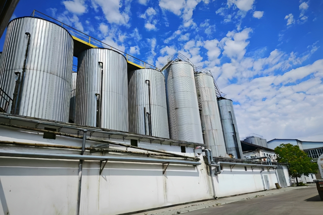 Cassman Industrial Brewery Fermenter 
