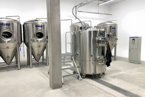 All-in-One Single Vessel Brewhouse Compact Brewing System (100L-1000L)