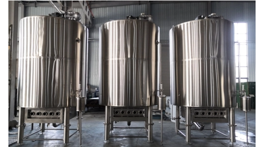 How To Choose The Best Customized Tank: A Complete Buyer's Guide